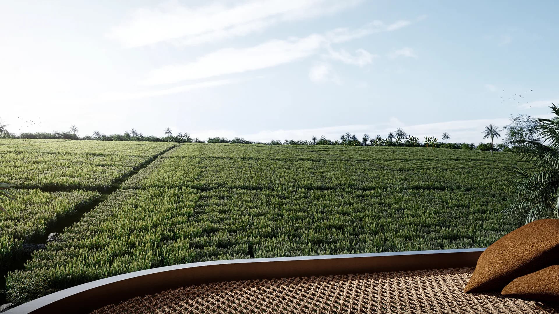 HAMMOCK-SAWAH.webp