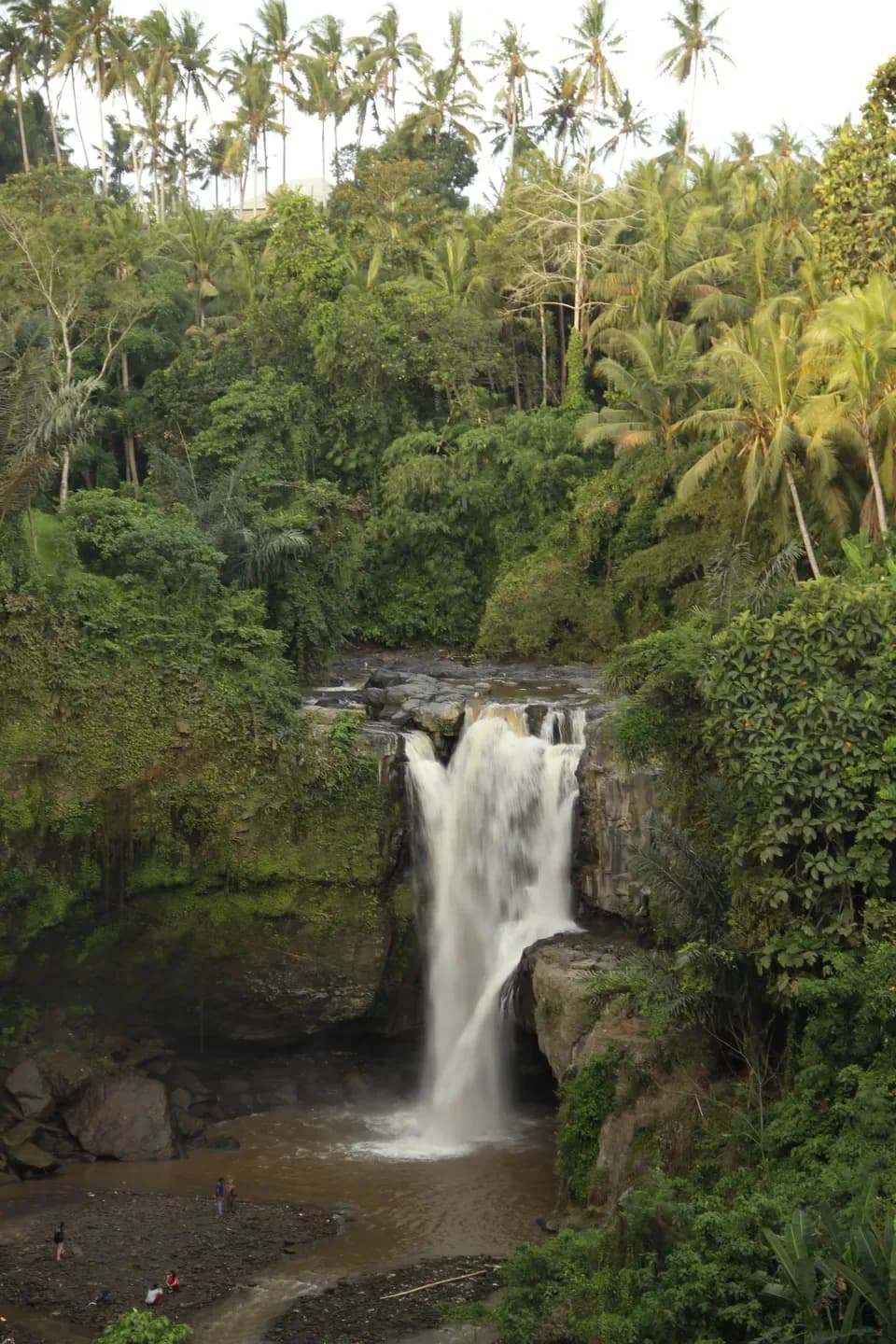 a-beautiful-waterfall-next-to-the-village-of-ubud-2023-11-27-05-35-13-utc.JPG